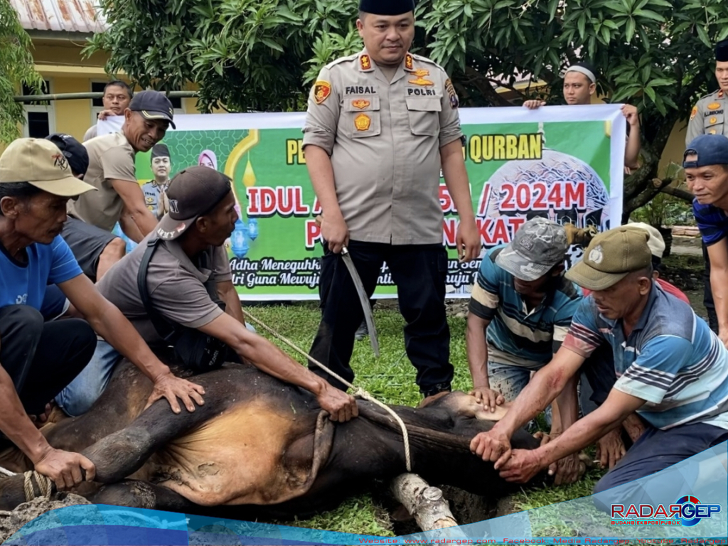 Polres Langkat Potong Hewan Kurban 9 Lembu dan 8 Kambing