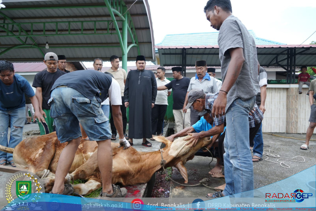 Masjid Al-Mubarak Sembelih 11 Hewan Kurban, Ketua DPRD Septian Nugraha Turut Berkurban dan Hadir Langsung di Lokasi
