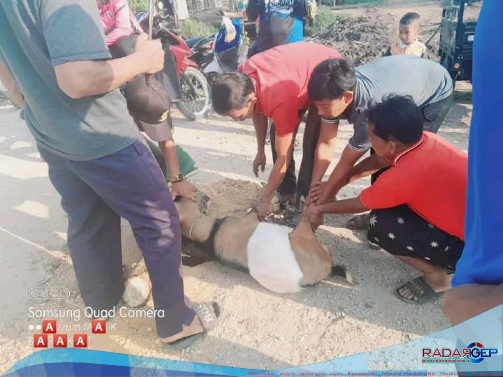 Pemdes Sungai Linau Lakukan Bersih Desa