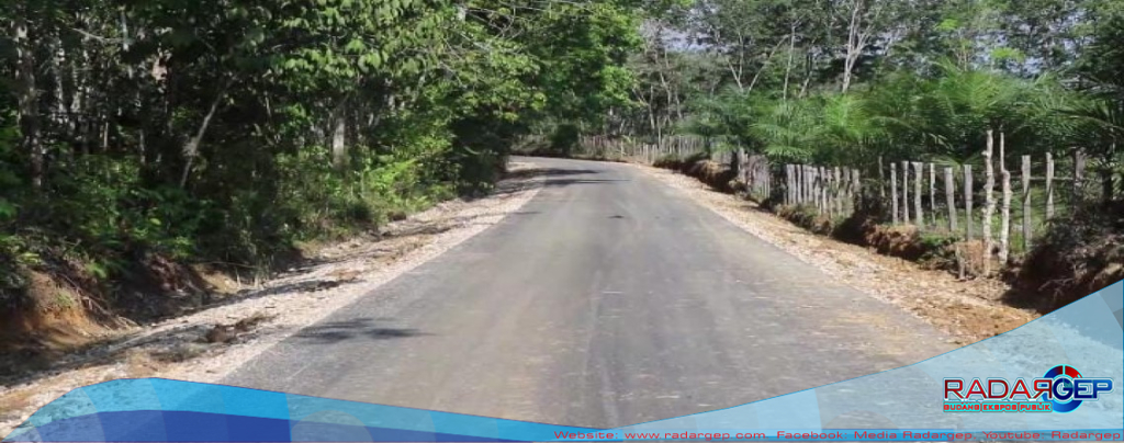 Kades Bandar Alai Kari Apresiasi Komitmen Membangun Bupati Suhardiman
