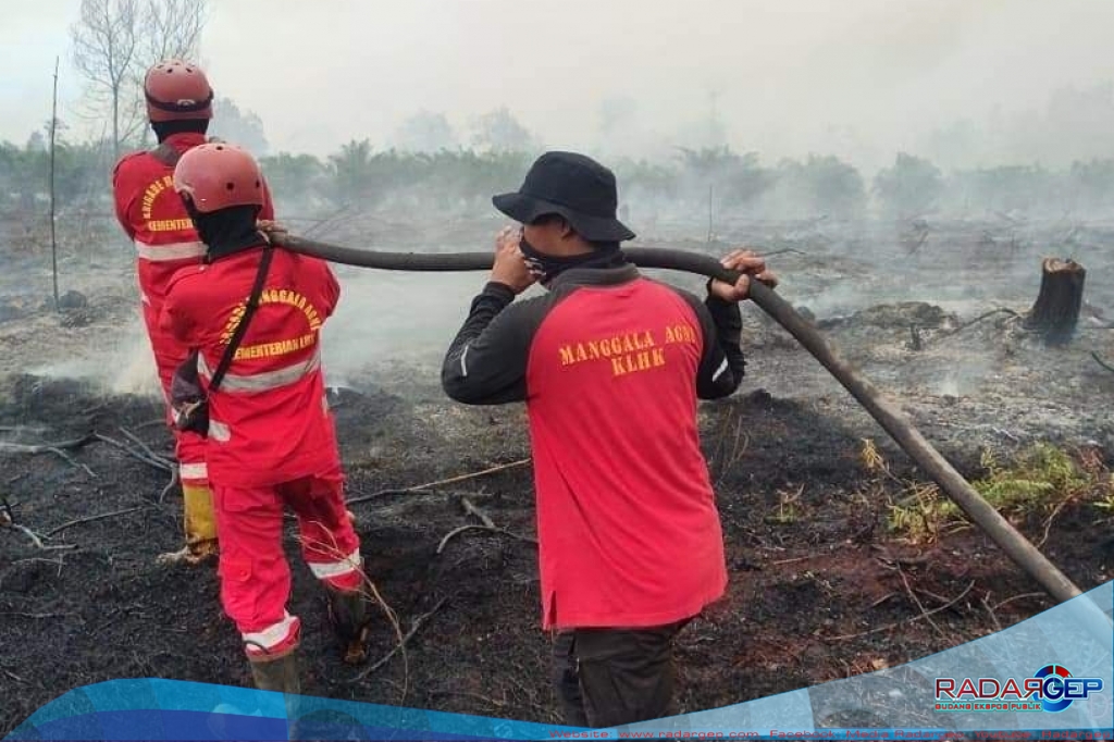 Petugas Gabungan Padamkan Karhutla Di Empat Kabupaten Kota Di Riau