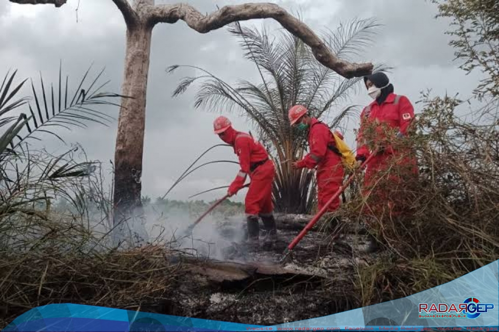 Satgas Karhutla Berjibaku Padamkan Karhutla