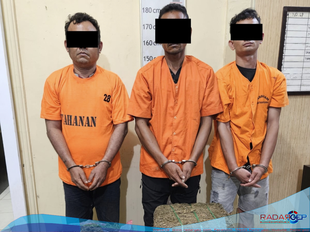 Sat Narkoba Polres Langkat Amankan Tiga Tersangka dan 32 Kg Ganja