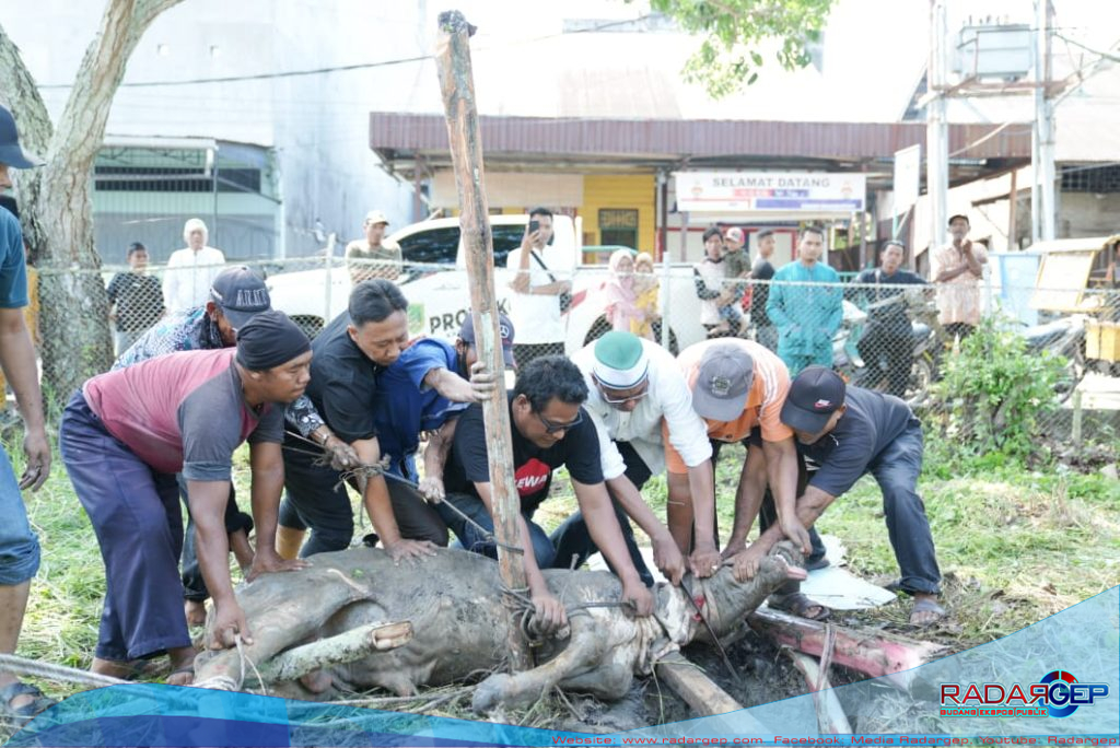 Bupati Rohil Bagikan Ratusan Paket Sembako Serta Daging Qurban Kepada Masyarakat dan Insan Pers