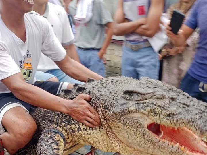 Seorang Warga Pulau Tello Kabupaten Nias Selatan Tewas Diterkam Buaya