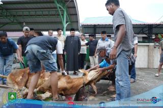 Masjid Al-Mubarak Sembelih 11 Hewan Kurban, Ketua DPRD Septian Nugraha Turut Berkurban dan Hadir Langsung di Lokasi