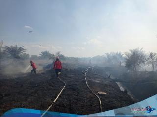 Kebakaran Lahan 50 Hektare Di Bengkalis Riau, Pelaku Belum Ada Ditangkap