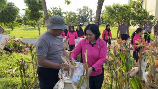 Brimob Sumut Panen 1,6 Ton Jagung di Tebing Tinggi