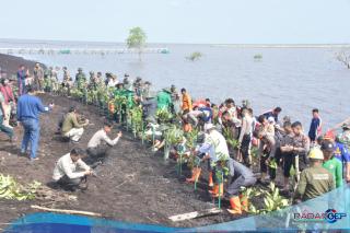Kegiatan Penghijauan dan Penanaman Mangrove Program Unggulan Kasad TNI AD