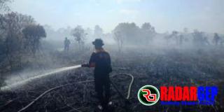 131 Hektare Lahan Terbakar, Karhutla Terluas Di Riau Ditemukan Di Bengkalis