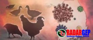 Pemprov Riau Surati Kabupaten/Kota Antisipasi Penyebaran Virus Flu Burung