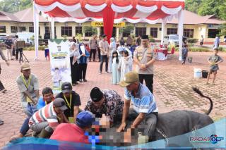 Kapolres Langkat Serahkan 12 Ekor Sapi dan 5 Ekor Kambing Hewan Kurban di Momen Idul Adha 1446 H