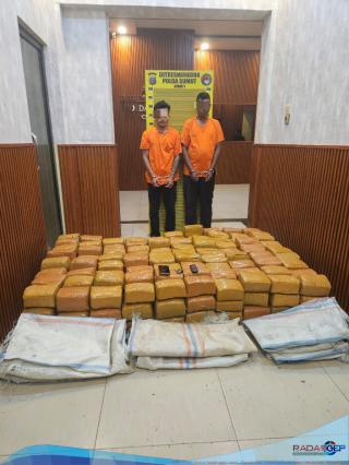Timsus Ditresnarkoba Polda Sumut Gagalkan Peredaran 255 Kg Ganja Asal Aceh, Dua Kurir Ditangkap