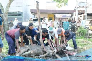 Bupati Rohil Bagikan Ratusan Paket Sembako Serta Daging Qurban Kepada Masyarakat dan Insan Pers