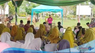Bupati Afrizal Sintong Saksikan Penyembelihan Hewan Qurban